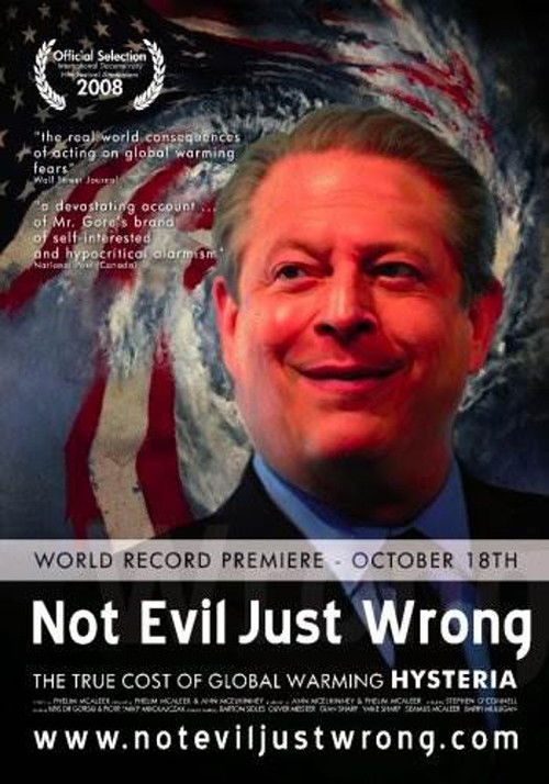 Not Evil Just Wrong (2009) poster