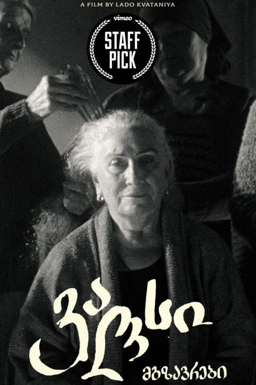 Mgzavrebi: Waltz (2023) poster