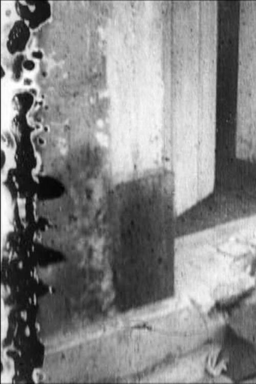 Black Body (2016) poster