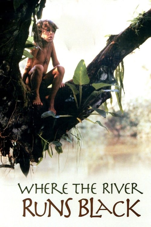 Where the River Runs Black (1986) poster