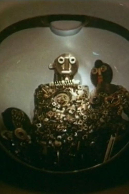 Primary Photobiological Processes (1988) poster