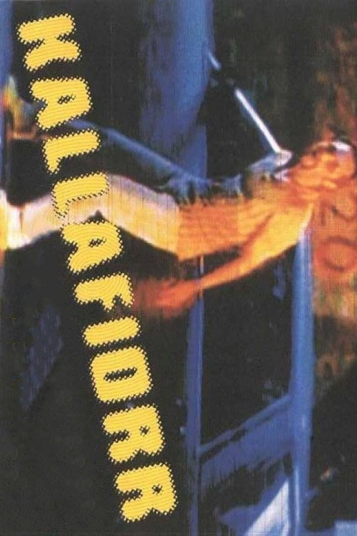 Kallafiorr (2000) poster