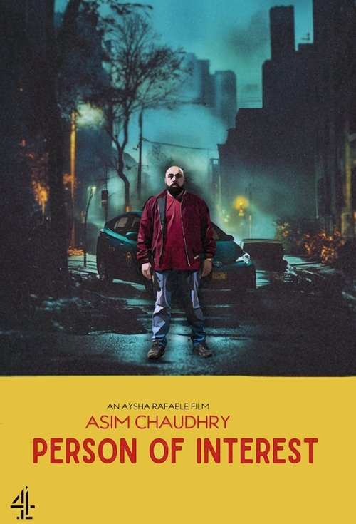 Person of Interest (2024) poster