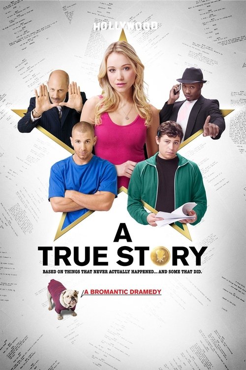 A True Story (2013) poster