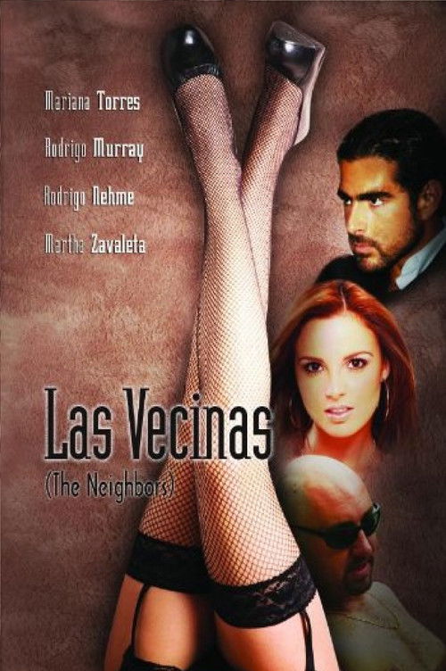 Las vecinas (2006) poster