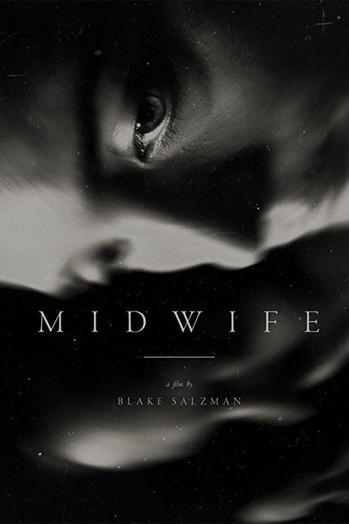 Midwife (2016) poster