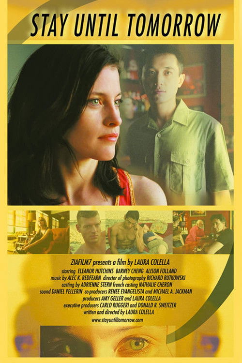 Stay Until Tomorrow (2004) poster