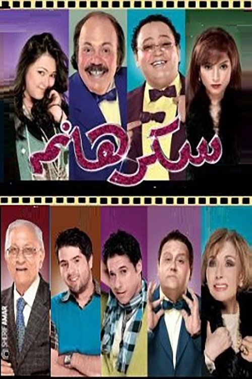 Lady Sukkar (2010) poster