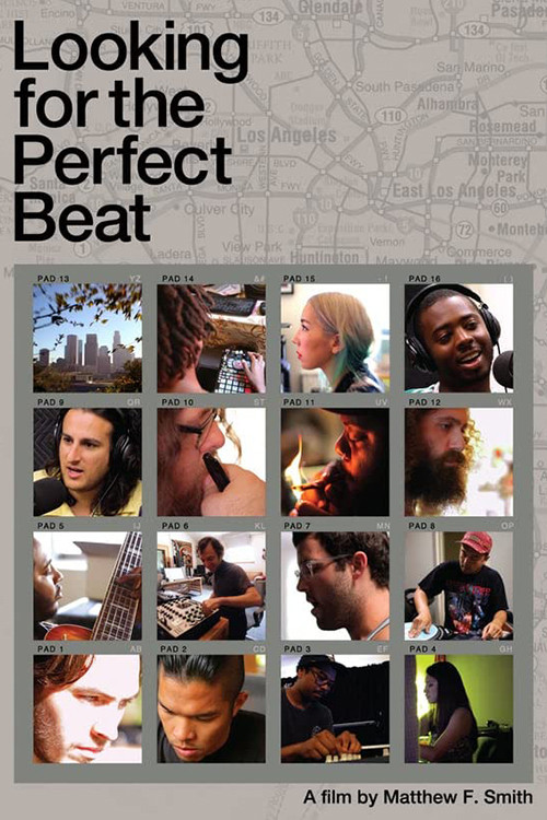 Looking for the Perfect Beat (2014) poster