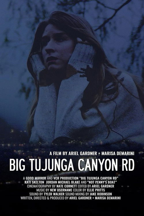 Big Tujunga Canyon Rd (2024) poster