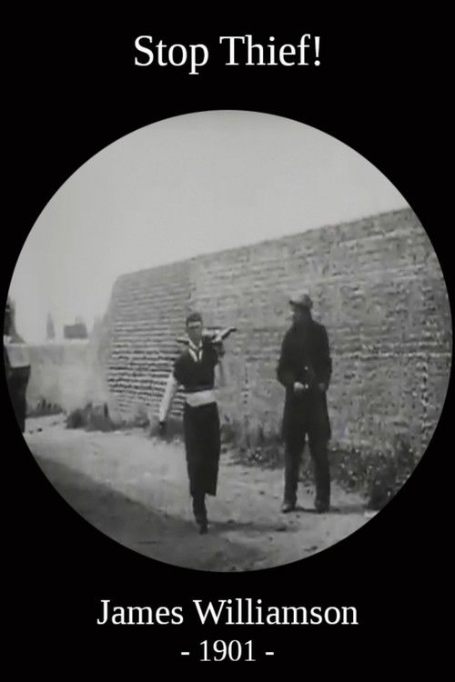 Stop Thief! (1901) poster