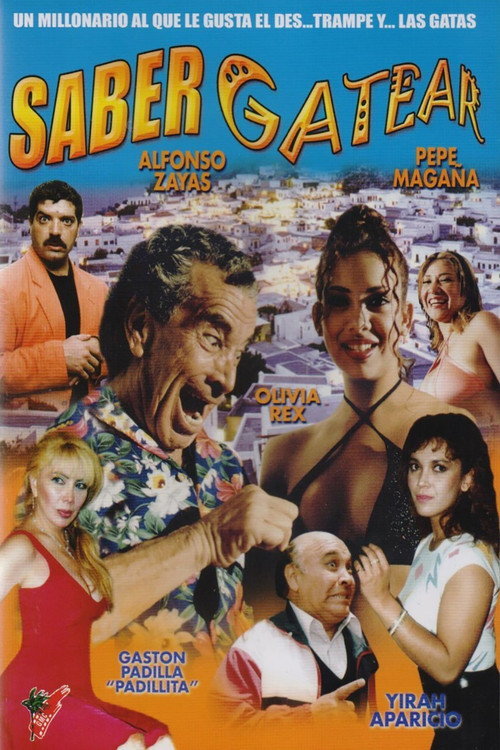 Saber gatear (1995) poster