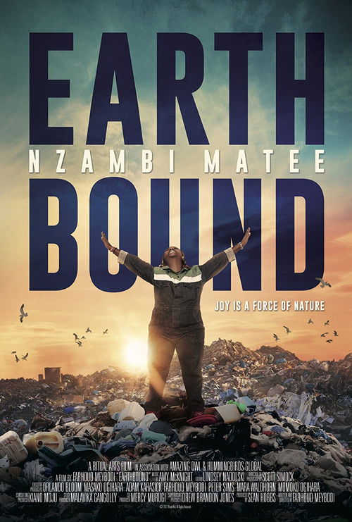 Earthbound: Nzambi Matee (2023) poster