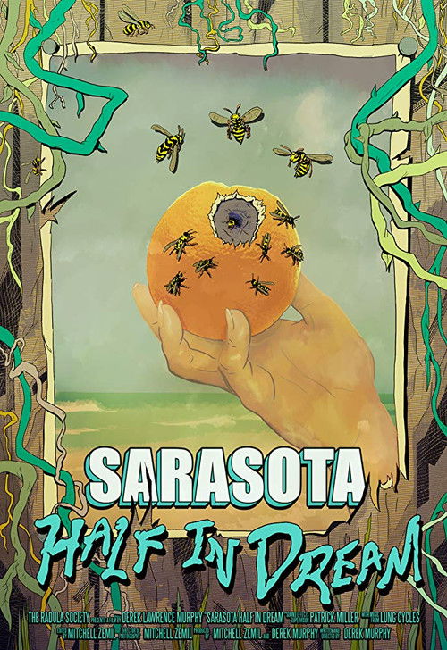 Sarasota Half in Dream (2017) poster