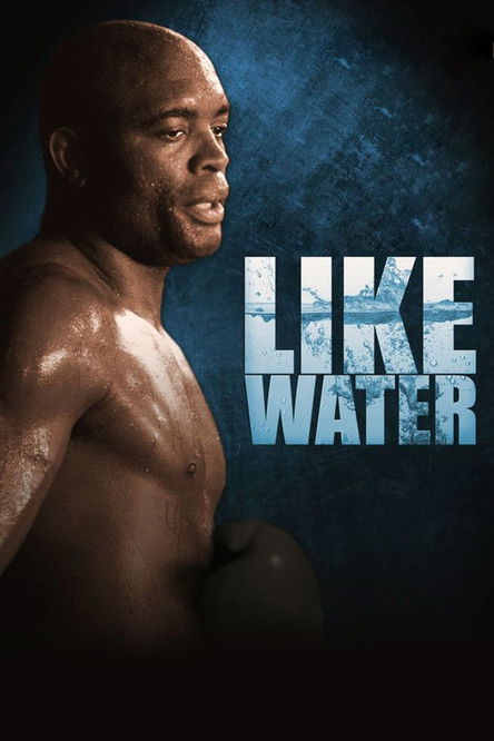 Anderson Silva: Like Water (2011) poster