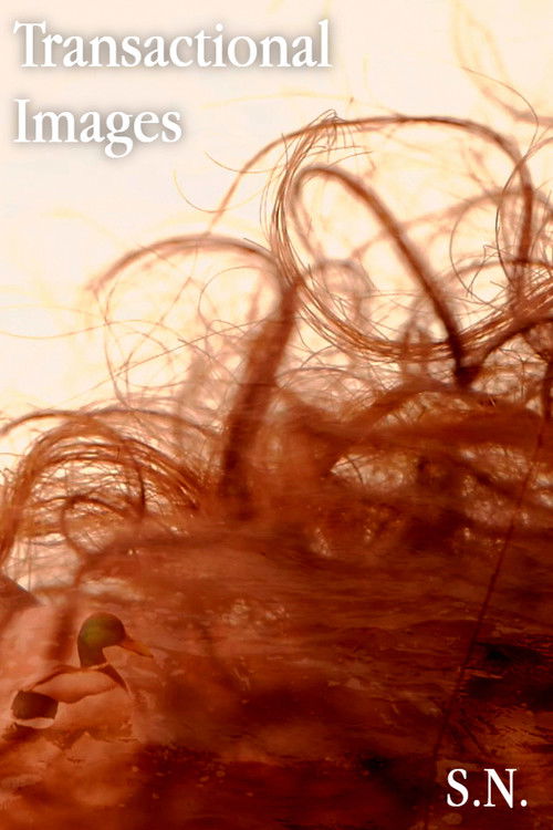 Transactional Images (2025) poster