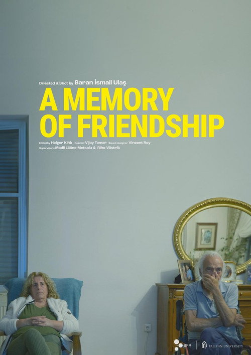 A Memory of Friendship (2023) poster