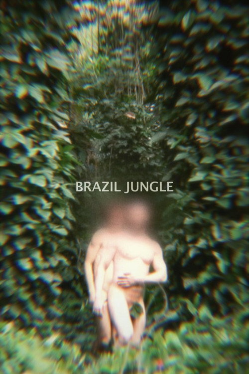 Brazil Jungle (2016) poster