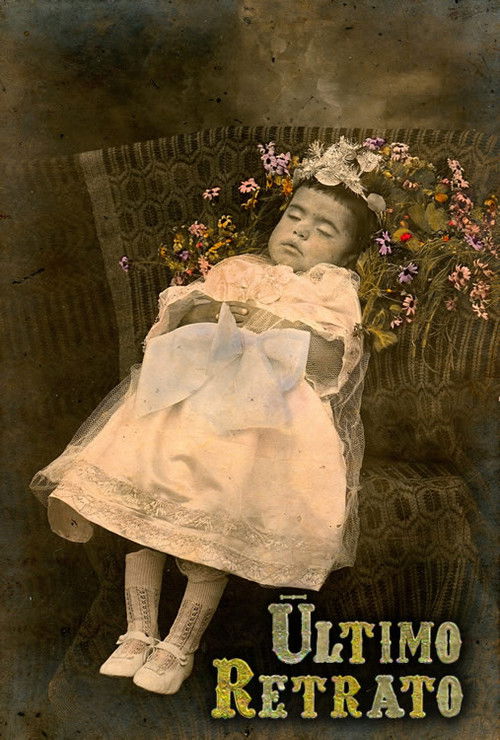 Último Retrato (2009) poster