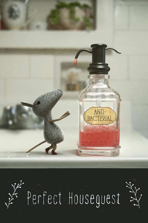 Perfect Houseguest (2015) poster