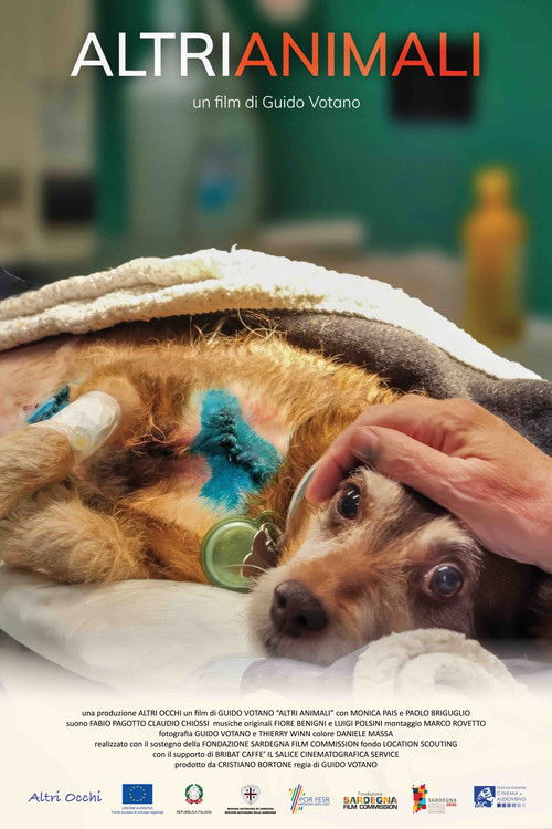 Altri animali (2025) poster