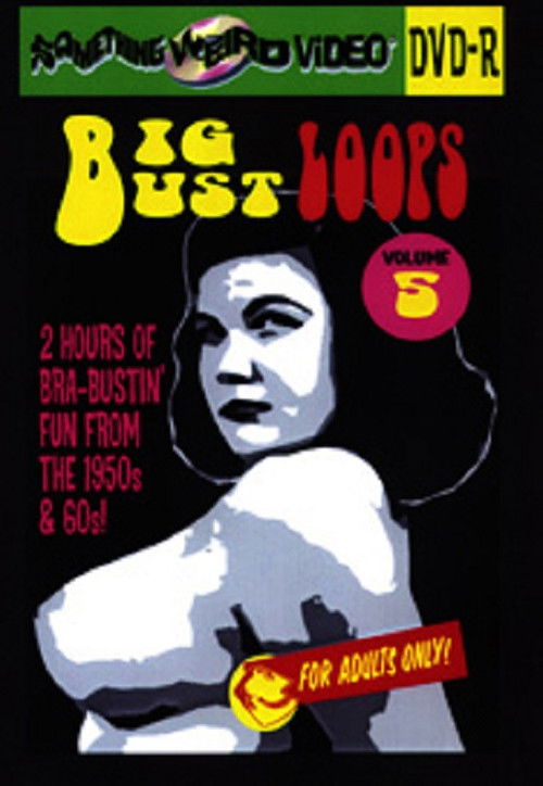 Big Bust Loops Volume 5 (2009) poster