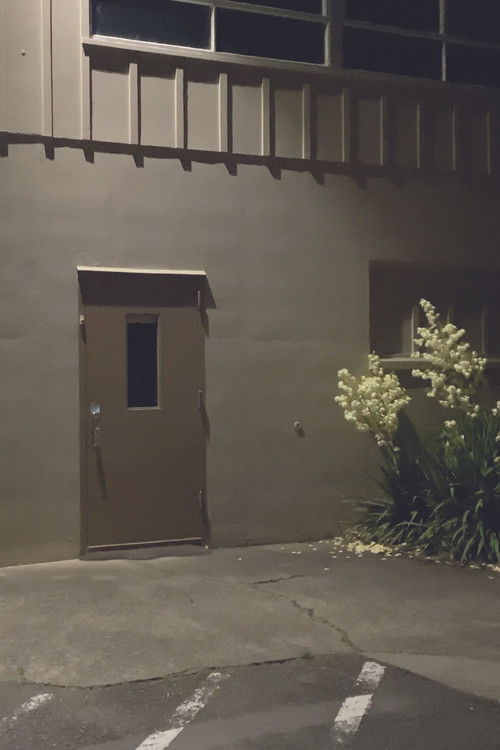 movie_01 (2021) poster