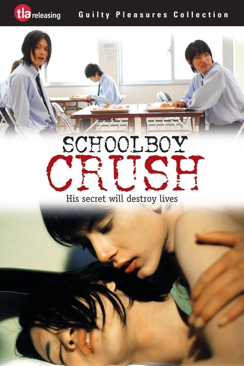 Schoolboy Crush (2007) poster