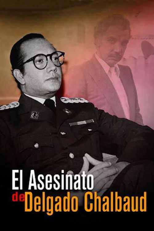 El asesinato de Delgado Chalbaud (1979) poster