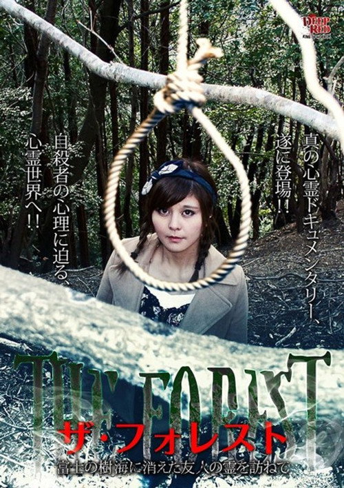 The Forest: Visiting the Spirit of a Friend Who Disappeared in the Aokigahara Forest (2016) poster