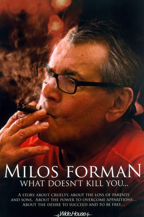 Miloš Forman: What Doesn't Kill You… (2009) poster