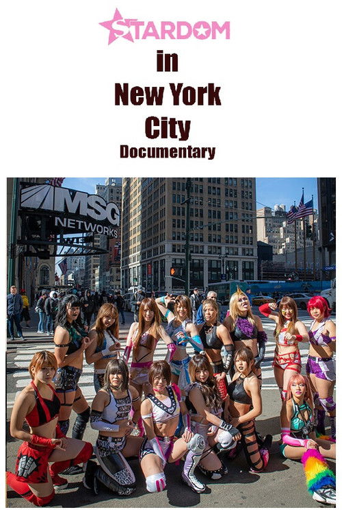 Stardom in NYC (2019) poster