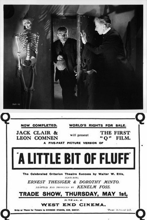 A Little Bit of Fluff (1919) poster