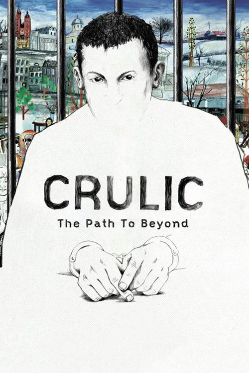 Crulic - Drumul spre dincolo (2011) poster