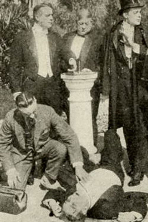 The Spider and Her Web (1914) poster