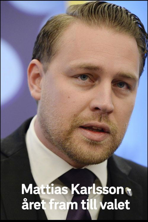 Mattias Karlsson: Året fram till valet (2019) poster