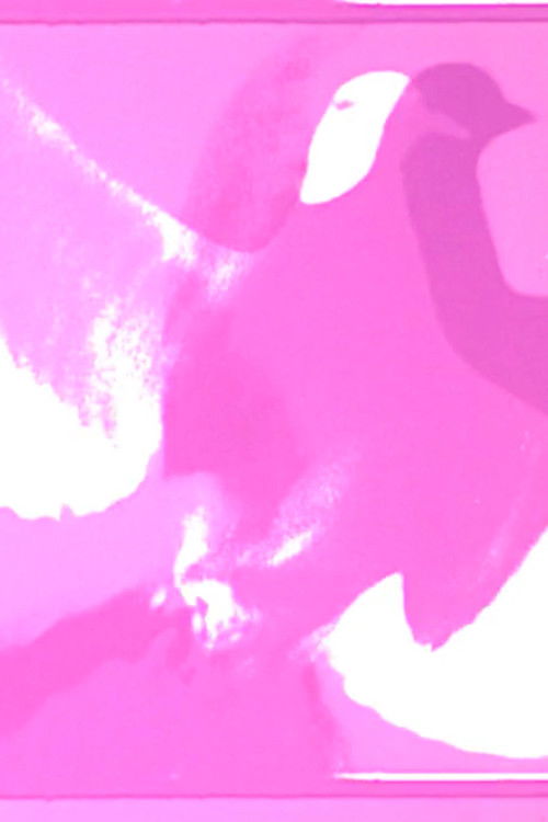 Alfred (2020) poster