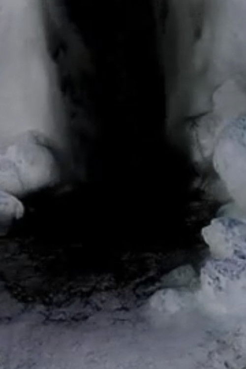 Five Waterfalls (1999) poster