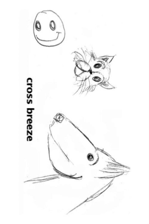 Cross Breeze (2006) poster