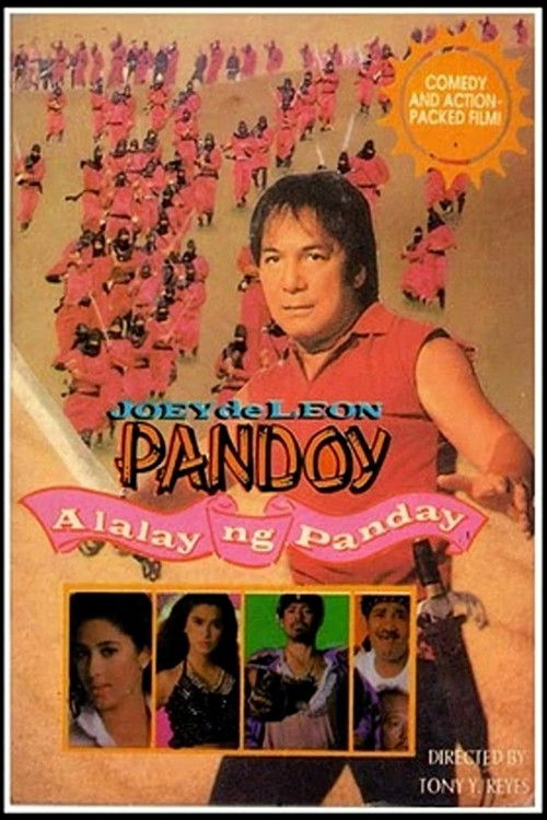 Pandoy: Alalay ng Panday (1993) poster