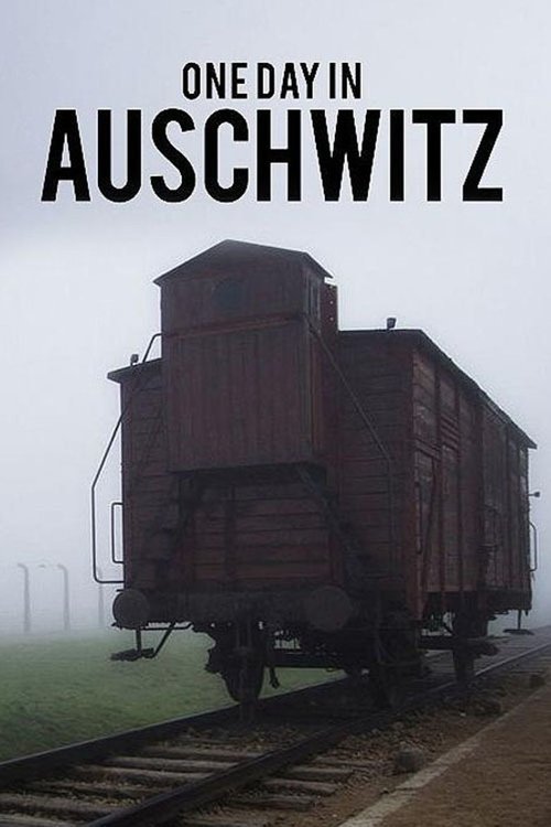 One Day in Auschwitz (2015) poster