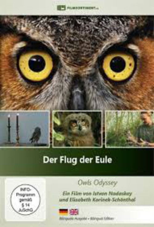 Der Flug der Eule (2013) poster