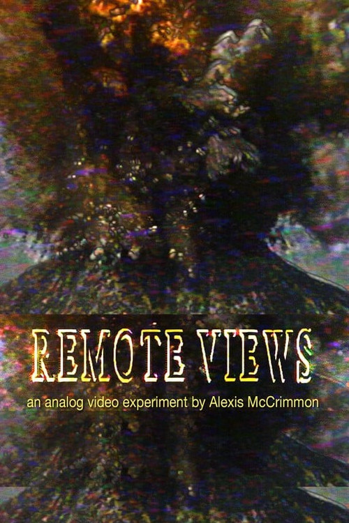 Remote Views (2025) poster