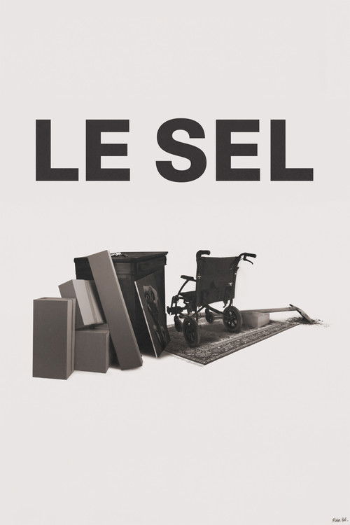 Le Sel (2025) poster