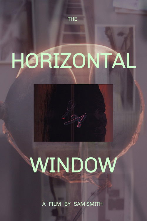 The Horizontal Window (2016) poster