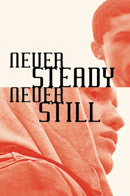 Never Steady, Never Still (2015) poster