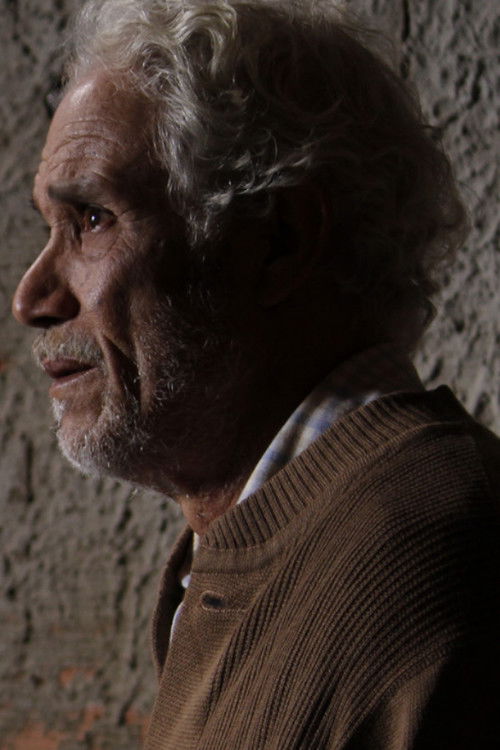 4 O'clock Flowers (2024) poster