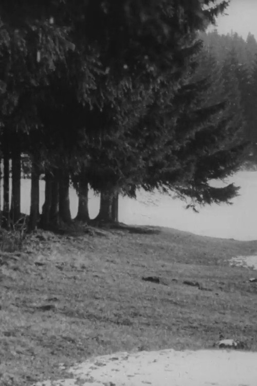 Ostern in Schwedt (1964) poster