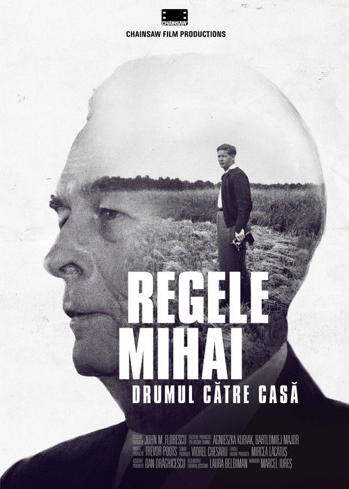 King Michael: The Journey Home (2021) poster