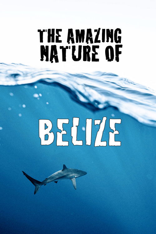 The Amazing Nature of Belize (2022) poster